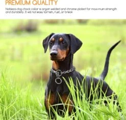 Nobleza Slipketting Hond - Sliphalsband - Trainingshalsband - Hondenketting - Maat L 10 Nobleza Slipketting Hond - Sliphalsband - Trainingshalsband - Hondenketting - Maat L -Dieren Benodigdheden Winkel 1200x1146 11