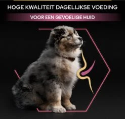 Pro Plan Medium Puppy Sensitive Skin - Honden Droogvoer - Zalm - 12 Kg -Dieren Benodigdheden Winkel 1200x1146 5