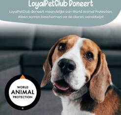 Loyalpetclub® Professionele 2-in-1 Hondentondeuse Voor Dikke Vacht – Draadloze Honden Tondeuse & Hondentrimmer – Stille Tondeuse Katten & Honden Trimset - Inclusief Opbergtasje -Dieren Benodigdheden Winkel 1200x1148 4