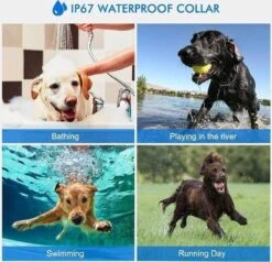 Anti Blafband EN Trainingshalsband In 1 - UNIEK SYSTEEM - 1000m Bereik - 100 Levels -Dieren Benodigdheden Winkel 1200x1154 1