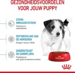 Royal Canin Mini Junior 8 KG -Dieren Benodigdheden Winkel 1200x1159 1