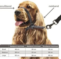 Beaphar Gentle Leader - Zwart - 54 Cm - Grote Honden 15 Beaphar Gentle Leader - Zwart - 54 Cm - Grote Honden -Dieren Benodigdheden Winkel 1200x1159 12