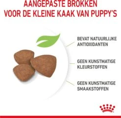 Royal Canin Mini Junior 8 KG -Dieren Benodigdheden Winkel 1200x1159 2