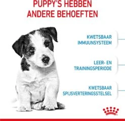 Royal Canin Mini Junior 8 KG -Dieren Benodigdheden Winkel 1200x1159