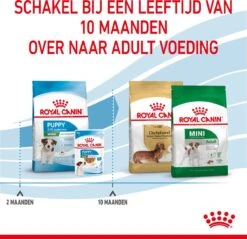 Royal Canin Mini Junior 8 KG -Dieren Benodigdheden Winkel 1200x1159 3