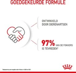 Royal Canin Mini Junior 8 KG -Dieren Benodigdheden Winkel 1200x1159 7