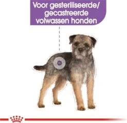 Royal Canin Ccn Sterilised Wet - Hondenvoer - 12x85 G -Dieren Benodigdheden Winkel 1200x1160 1