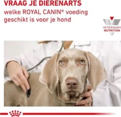 Royal Canin Renal - Dieetvoeding Voor Ondersteuning Van De Nierfunctie Van Volwassen Honden 14 Kg 21 Royal Canin Renal - Dieetvoeding Voor Ondersteuning Van De Nierfunctie Van Volwassen Honden 14 Kg -Dieren Benodigdheden Winkel 1200x1161 1