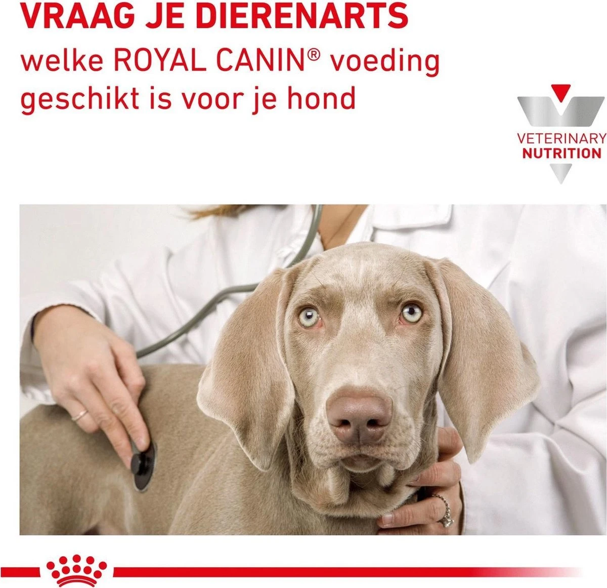 Royal Canin Renal - Dieetvoeding Voor Ondersteuning Van De Nierfunctie Van Volwassen Honden 14 Kg 9 Royal Canin Renal - Dieetvoeding Voor Ondersteuning Van De Nierfunctie Van Volwassen Honden 14 Kg - Afbeelding 7