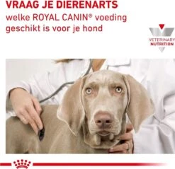 Royal Canin Satiety Small Dog - Hondenvoer Voor Kleine Volwassen Honden Met Overgewicht 3 Kg -Dieren Benodigdheden Winkel 1200x1161 3