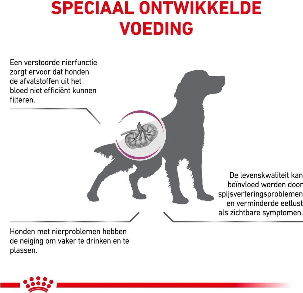 Royal Canin Renal - Dieetvoeding Voor Ondersteuning Van De Nierfunctie Van Volwassen Honden 14 Kg 6 Royal Canin Renal - Dieetvoeding Voor Ondersteuning Van De Nierfunctie Van Volwassen Honden 14 Kg - Afbeelding 4