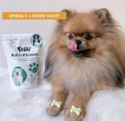 Toshi Multi Vitaminen Met Omega-3 - 100% Natuurlijke Hondensnack Voor Kleine En Grote Honden - Hondenkoekjes Voor Een Gezonde Levensstijl -Dieren Benodigdheden Winkel 1200x1167 2