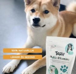 Toshi Multi Vitaminen Met Omega-3 - 100% Natuurlijke Hondensnack Voor Kleine En Grote Honden - Hondenkoekjes Voor Een Gezonde Levensstijl -Dieren Benodigdheden Winkel 1200x1167 3