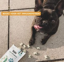 Toshi Multi Vitaminen Met Omega-3 - 100% Natuurlijke Hondensnack Voor Kleine En Grote Honden - Hondenkoekjes Voor Een Gezonde Levensstijl -Dieren Benodigdheden Winkel 1200x1167 4