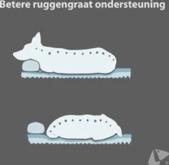 PETKIT® Deep Sleep Bed - Hondenmand - Kattenmand - Memory Foam - Orthopedisch - Maat M -Dieren Benodigdheden Winkel 1200x1168