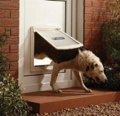 Petsafe 760 Hondenluik - L - Wit - 37 X 31,4 Cm 24 Petsafe 760 Hondenluik - L - Wit - 37 X 31,4 Cm -Dieren Benodigdheden Winkel 1200x1168 9