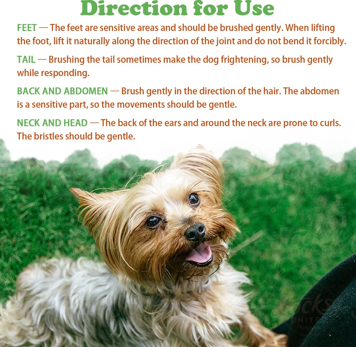 Merkloos Nobleza Dierenborstel - Hondenborstel - Kattenborstel - Tweezijdig - Dubbelzijdig - Hout - Maat L 6 Merkloos Nobleza Dierenborstel - Hondenborstel - Kattenborstel - Tweezijdig - Dubbelzijdig - Hout - Maat L - Afbeelding 4