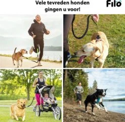 Filo Elastische Hondenriem Groot - Hardlopen En Wandelen - Hardloopriem Hond Handsfree Met Heuptasje - Looplijn Met Heupriem - Canicross Gordel Honden - Riemen - Heupgordel - Leiband -Dieren Benodigdheden Winkel 1200x1171 5