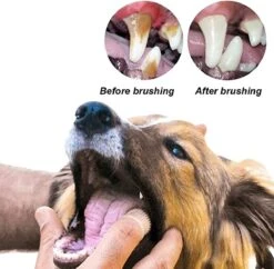 Doodadeals® 4 Stuks Siliconen Honden Tandenborstel - Tanden Borstel Hond - Silicone Dog Tootbrush - Multikleur 10 Doodadeals® 4 Stuks Siliconen Honden Tandenborstel - Tanden Borstel Hond - Silicone Dog Tootbrush - Multikleur -Dieren Benodigdheden Winkel 1200x1175 5