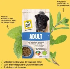 VITALstyle ADULT - Hondenbrokken - 12 Kg -Dieren Benodigdheden Winkel 1200x1177 1