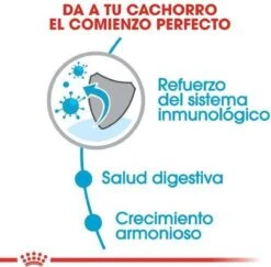 Royal Canin Mini Junior 8 KG -Dieren Benodigdheden Winkel 1200x1180 1