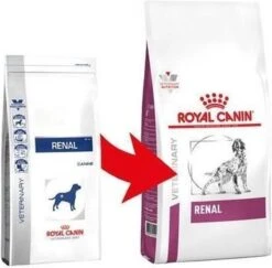 Royal Canin Renal - Dieetvoeding Voor Ondersteuning Van De Nierfunctie Van Volwassen Honden 14 Kg 25 Royal Canin Renal - Dieetvoeding Voor Ondersteuning Van De Nierfunctie Van Volwassen Honden 14 Kg -Dieren Benodigdheden Winkel 1200x1181 1