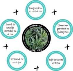 Greenfields Vacht Verzorging Set Voor Honden Shampoo, Conditioner & Droogshampoo 13 Greenfields Vacht Verzorging Set Voor Honden Shampoo, Conditioner & Droogshampoo -Dieren Benodigdheden Winkel 1200x1182 2