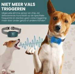 Salvano Anti Blafband - Blafband Voor Honden - Opvoedingshalsbanden - Voor Kleine En Grote Honden - Anti Blafband Zonder Schok- Oplaadbaar - Anti Blaf Apparaat - Blafband - Diervriendelijk -Dieren Benodigdheden Winkel 1200x1183 3