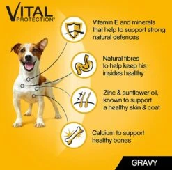 Pedigree Natvoer Mixed Selection 84 X 100 G. Kip, Runds, Kalkoen En Lams - Hondenvoeding -Compleet Nat Hondenvoer. -Dieren Benodigdheden Winkel 1200x1187 1