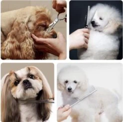 VoordeelShop 7-Delige Huisdier Knipset Met Etui - Trimmen Hond - Honden Schaar - Effileerschaar Hond - Huisdier Trimmer - Huisdier Knippen - Knipschaar Haar - Haar Schaar - Kapper - Kapperset - Scharenset -Dieren Benodigdheden Winkel 1200x1190 5