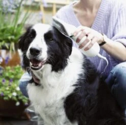 Merkloos HondenFöhn En Borstel - RVS Borstel - Huisdieren - 2 In 1 Hondenföhn -Dieren Benodigdheden Winkel 1200x1190 6