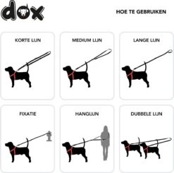 DDOXX Hondenriem Air Mesh, 3-voudig Verstelbaar, 2m | Voor Kleine & Grote Honden | Dubbele Riem Twee Honden Kat Puppy | Tug Leash Large | Lead Leash Small | Walking Leash Puppy Leash | Zwart, XS -Dieren Benodigdheden Winkel 1200x1191 9