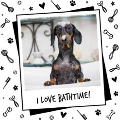 Bugalugs - Hondenshampoo - One In A Million - Alle Vachttypes - Fles Met Pompje - Vegan - 500 Ml -Dieren Benodigdheden Winkel 1200x1196 4