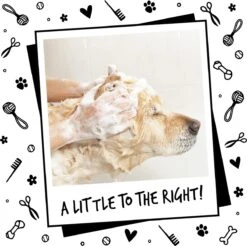 Bugalugs - Hondenshampoo - One In A Million - Alle Vachttypes - Fles Met Pompje - Vegan - 500 Ml -Dieren Benodigdheden Winkel 1200x1197 13