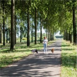 Rebel Petz - Dubbele Verstelbare Hondenriem Voor Twee Honden - Met Draaibare Sluiting En Zacht Handvat - Small En Large - Small (140 Cm Lang, Ø 8 Mm) -Dieren Benodigdheden Winkel 1200x1198 14