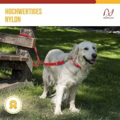 Happilax Dog Leash 2m Adjustable - Red / Reflective - 3-Step Adjustable Leash - Double Leash, Tug Leash - Geschikt Als Hondenriem Voor Grote Honden Of Als Sleepriem Voor Kleine Honden. -Dieren Benodigdheden Winkel 1200x1199 15