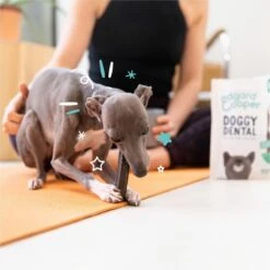 Merkloos Edgard & Cooper Doggy Dental Sticks Aardbei - Frisse Muntolie Small -Dieren Benodigdheden Winkel 1200x1199 4