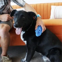 Kong Zoom Groom Hond -Dieren Benodigdheden Winkel 1200x1199 5