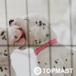 Topmast Puppyren Uitvouwbaar - Zwart - 560 Cm Omtrek - 60 Cm Hoog - Opvouwbaar XL - Hondenren -Dieren Benodigdheden Winkel 1200x1200 1019