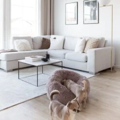 District 70 FUZZ - Hondenmand Comfortabel En Zacht Pluche - Zand, Oudroze, Donkergrijs En Lichtgrijs In S/M/L/XL - Maat: Large, Kleur: Zand 18 District 70 FUZZ - Hondenmand Comfortabel En Zacht Pluche - Zand, Oudroze, Donkergrijs En Lichtgrijs In S/M/L/XL - Maat: Large, Kleur: Zand -Dieren Benodigdheden Winkel 1200x1200 103