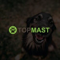 Merkloos Topmast Premium Puppyren - 120 Cm Hoog - 640 Cm Omtrek - Hondenren - Hondenhok - Zwart -Dieren Benodigdheden Winkel 1200x1200 1038