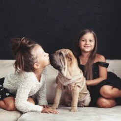 Relaxdays Puppyren - Hondenren - Puppykennel - Konijnenren - Bodem - Metaal - Div. Grootte - M 13 Relaxdays Puppyren - Hondenren - Puppykennel - Konijnenren - Bodem - Metaal - Div. Grootte - M -Dieren Benodigdheden Winkel 1200x1200 1046