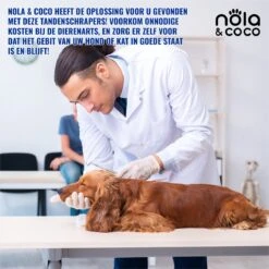 Nola & Coco® Tandsteen Verwijderaar Set Inclusief Bewaardoosje - Tandenkrabber - Set Van Twee - Hond - Kat - Tandenborstel - Tandplak Verwijderen - Tandenstoker - Honden Tanden Schoonmaken - Tandenhaakje - Gebitsreiniging -Dieren Benodigdheden Winkel 1200x1200 1066