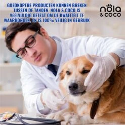 Nola & Coco® Tandsteen Verwijderaar Set Inclusief Bewaardoosje - Tandenkrabber - Set Van Twee - Hond - Kat - Tandenborstel - Tandplak Verwijderen - Tandenstoker - Honden Tanden Schoonmaken - Tandenhaakje - Gebitsreiniging -Dieren Benodigdheden Winkel 1200x1200 1067