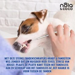Nola & Coco® Tandsteen Verwijderaar Set Inclusief Bewaardoosje - Tandenkrabber - Set Van Twee - Hond - Kat - Tandenborstel - Tandplak Verwijderen - Tandenstoker - Honden Tanden Schoonmaken - Tandenhaakje - Gebitsreiniging -Dieren Benodigdheden Winkel 1200x1200 1069