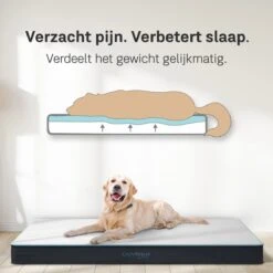 CozySense® - Orthopedisch Hondenkussen - Hondenkussen 100 X 70 Cm - Geschikt Als Benchkussen & Hondenbed - Hondenkussen Bank - Traagschuim - Waterdicht - Wasbare Hoes - Maat XL 12 CozySense® - Orthopedisch Hondenkussen - Hondenkussen 100 X 70 Cm - Geschikt Als Benchkussen & Hondenbed - Hondenkussen Bank - Traagschuim - Waterdicht - Wasbare Hoes - Maat XL -Dieren Benodigdheden Winkel 1200x1200 107