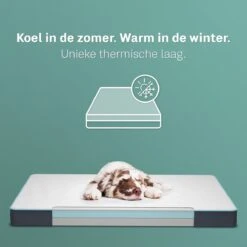 CozySense® - Orthopedisch Hondenkussen - Hondenkussen 100 X 70 Cm - Geschikt Als Benchkussen & Hondenbed - Hondenkussen Bank - Traagschuim - Waterdicht - Wasbare Hoes - Maat XL 13 CozySense® - Orthopedisch Hondenkussen - Hondenkussen 100 X 70 Cm - Geschikt Als Benchkussen & Hondenbed - Hondenkussen Bank - Traagschuim - Waterdicht - Wasbare Hoes - Maat XL -Dieren Benodigdheden Winkel 1200x1200 108