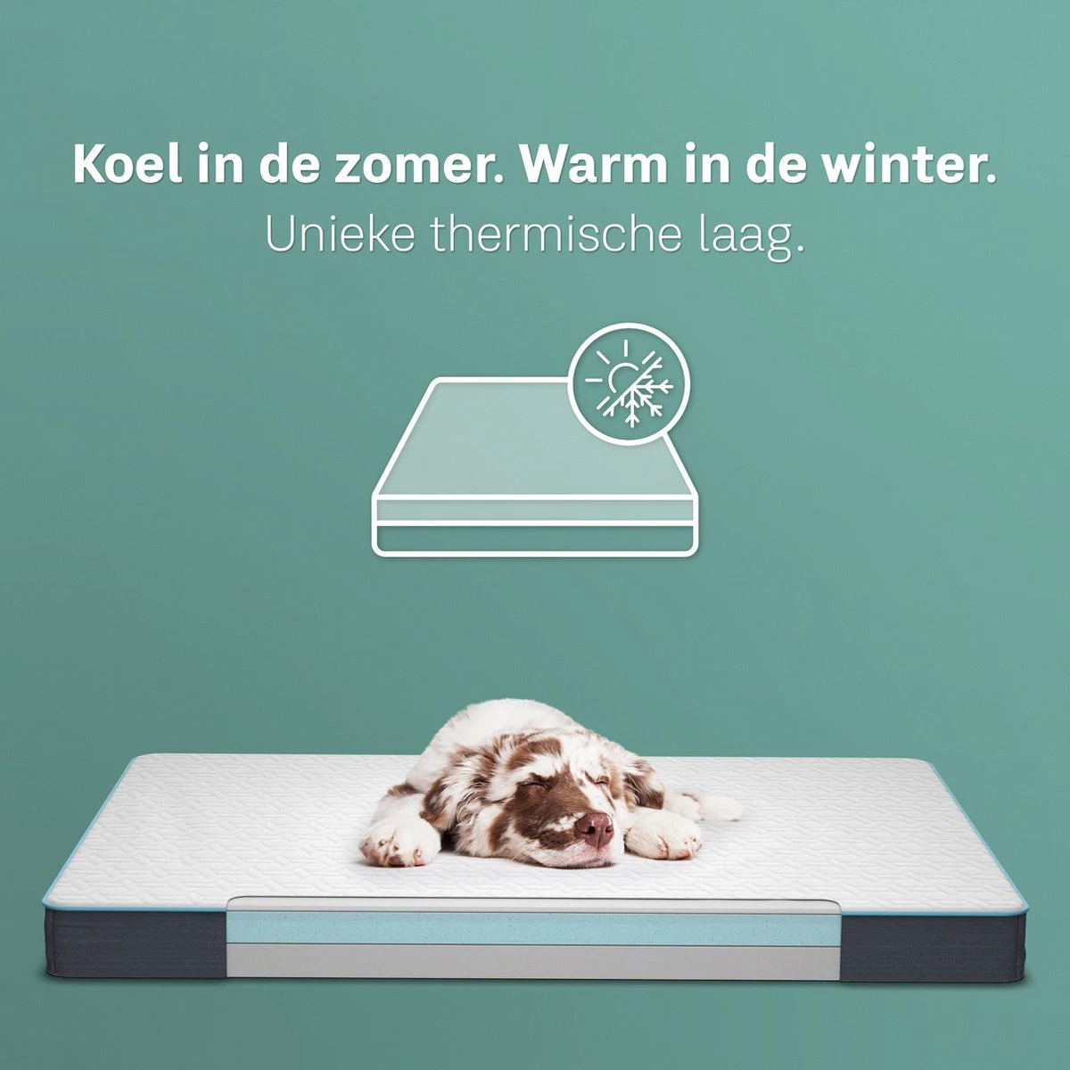 CozySense® - Orthopedisch Hondenkussen - Hondenkussen 100 X 70 Cm - Geschikt Als Benchkussen & Hondenbed - Hondenkussen Bank - Traagschuim - Waterdicht - Wasbare Hoes - Maat XL 6 CozySense® - Orthopedisch Hondenkussen - Hondenkussen 100 X 70 Cm - Geschikt Als Benchkussen & Hondenbed - Hondenkussen Bank - Traagschuim - Waterdicht - Wasbare Hoes - Maat XL - Afbeelding 4