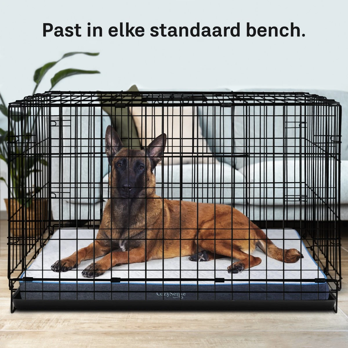 CozySense® - Orthopedisch Hondenkussen - Hondenkussen 100 X 70 Cm - Geschikt Als Benchkussen & Hondenbed - Hondenkussen Bank - Traagschuim - Waterdicht - Wasbare Hoes - Maat XL 7 CozySense® - Orthopedisch Hondenkussen - Hondenkussen 100 X 70 Cm - Geschikt Als Benchkussen & Hondenbed - Hondenkussen Bank - Traagschuim - Waterdicht - Wasbare Hoes - Maat XL - Afbeelding 5