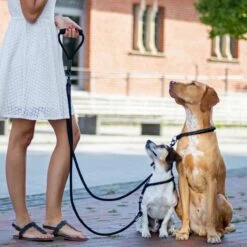 Rebel Petz - Dubbele Verstelbare Hondenriem Voor Twee Honden - Met Draaibare Sluiting En Zacht Handvat - Small En Large - Small (140 Cm Lang, Ø 8 Mm) -Dieren Benodigdheden Winkel 1200x1200 1090